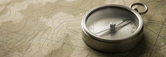 Line movement explained: how odds shift and what sharps look for