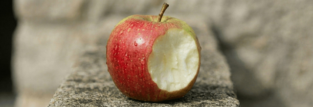 What does vig/juice mean? And why It matters for your bankroll