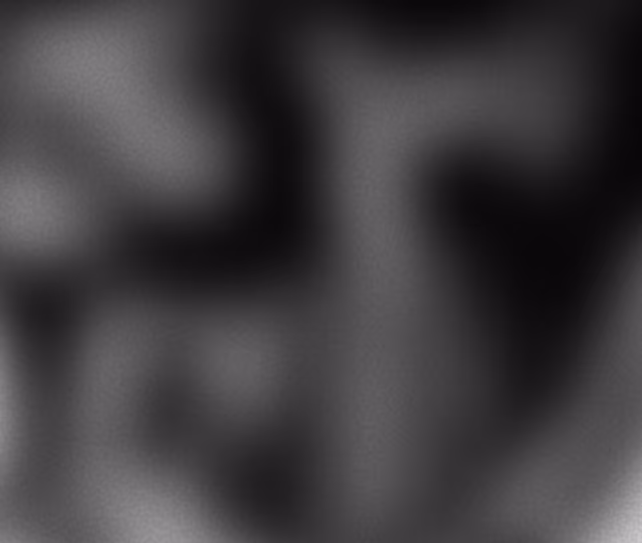 Black and white abstract image with blurred organic shapes and gradients.