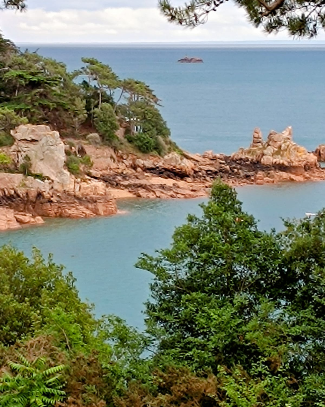 Côte rocheuse bordée d’arbres verts avec une petite crique et la mer bleue en arrière-plan.