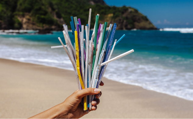 Hand holding a bundle of various colored plastic straws with a beach and ocean in the background.