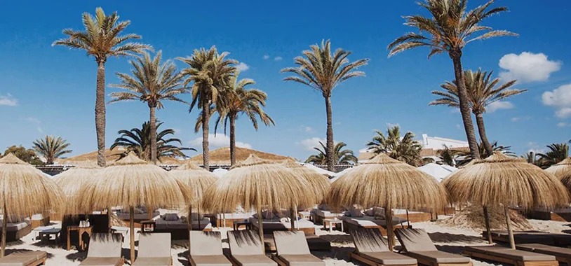 Beach lounge area with rows of straw umbrellas and sunbeds against a backdrop of tall palm trees under a blue sky.