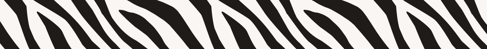 Close-up of black and white zebra stripe pattern.