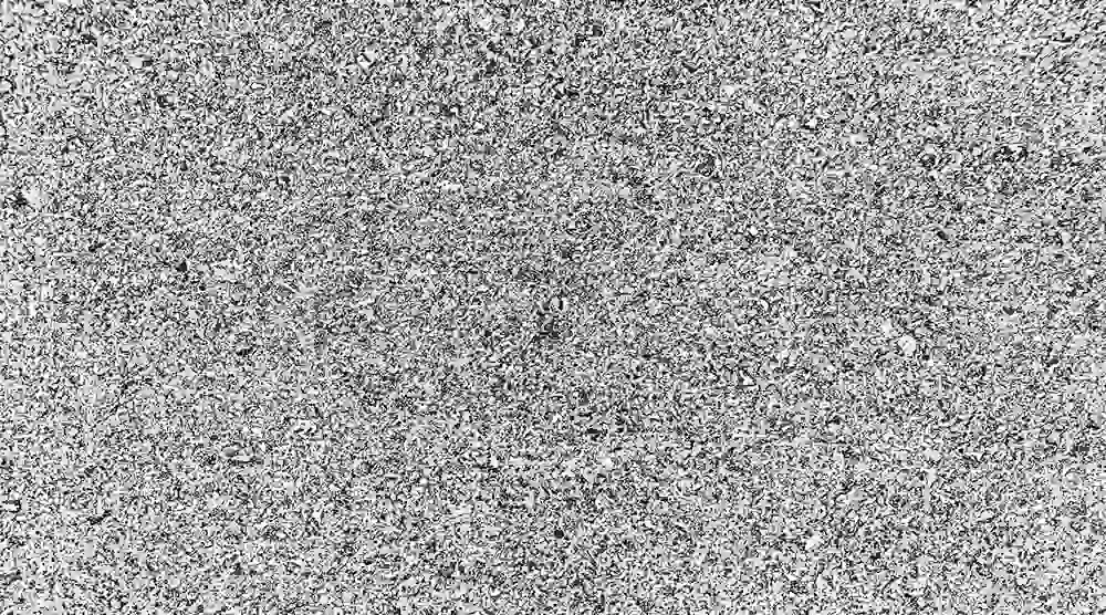 Black and white static noise pattern resembling a television screen with no signal.