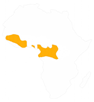 Chimpanzee range map of central Africa