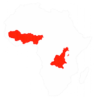 Geographic range map showing gorilla habitat in central Africa