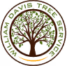 Logo featuring a large green tree with roots, encircled by the text 'Home Tree Tree Service' and 'Since 1979'.