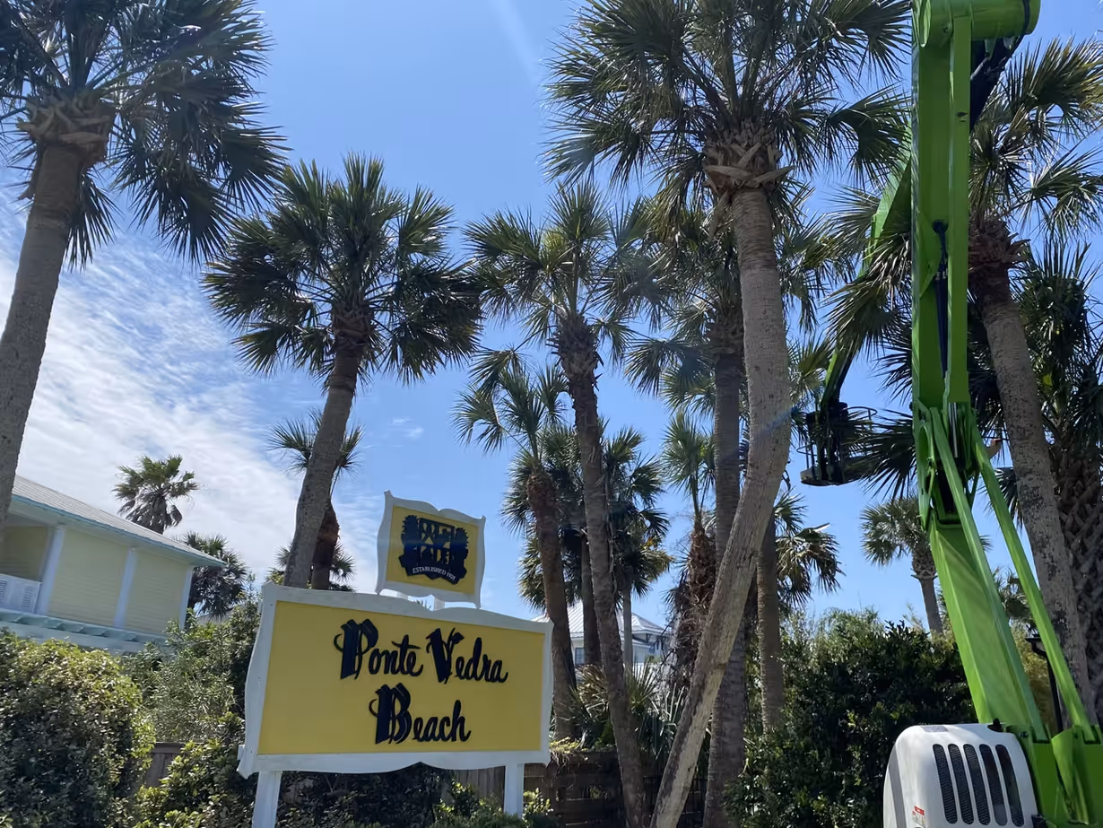 Yellow sign with black text reading 'Ponte Vedra Beach' in front of palm trees under a clear blue sky.