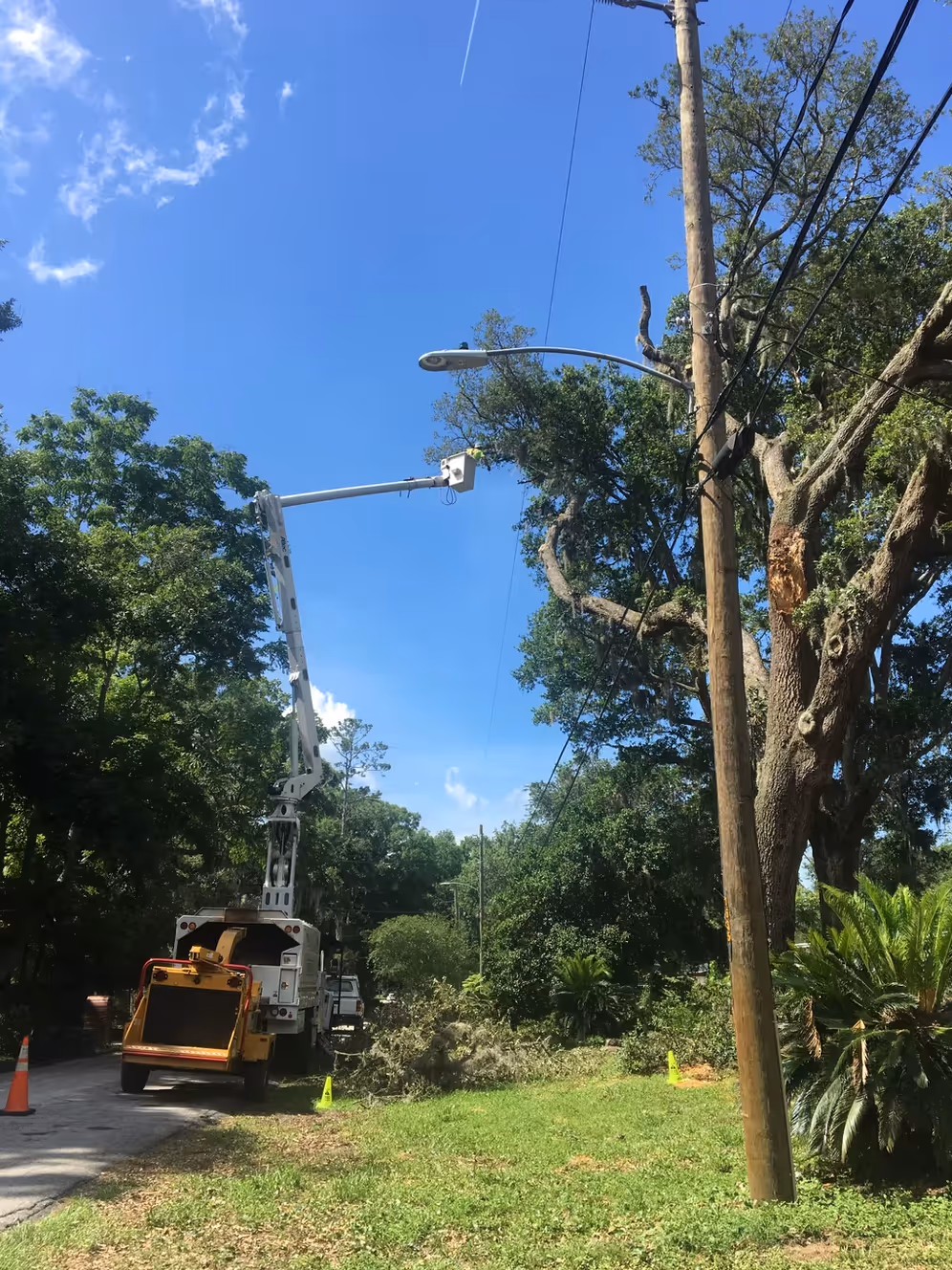 Utility truck with a bucket lift extended towards a streetlight amid trees, with tree branches and a wood chipper nearby on a sunny day.
