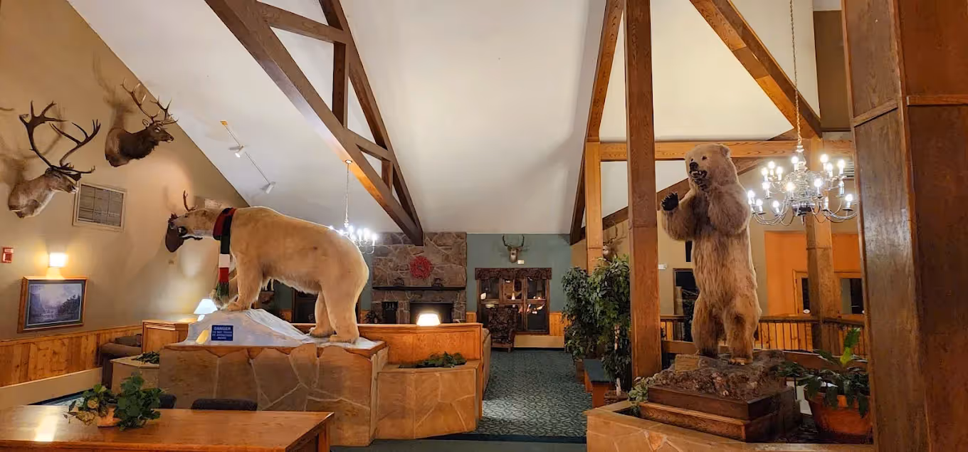 A large open room with wooden beams, featuring taxidermy animals like a polar bear wearing a scarf and a grizzly bear. Deer heads adorn the walls. Warm lighting creates a rustic, lodge-like atmosphere.