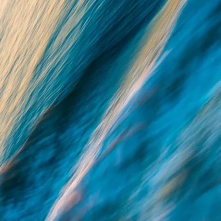 Article name goes here Copy