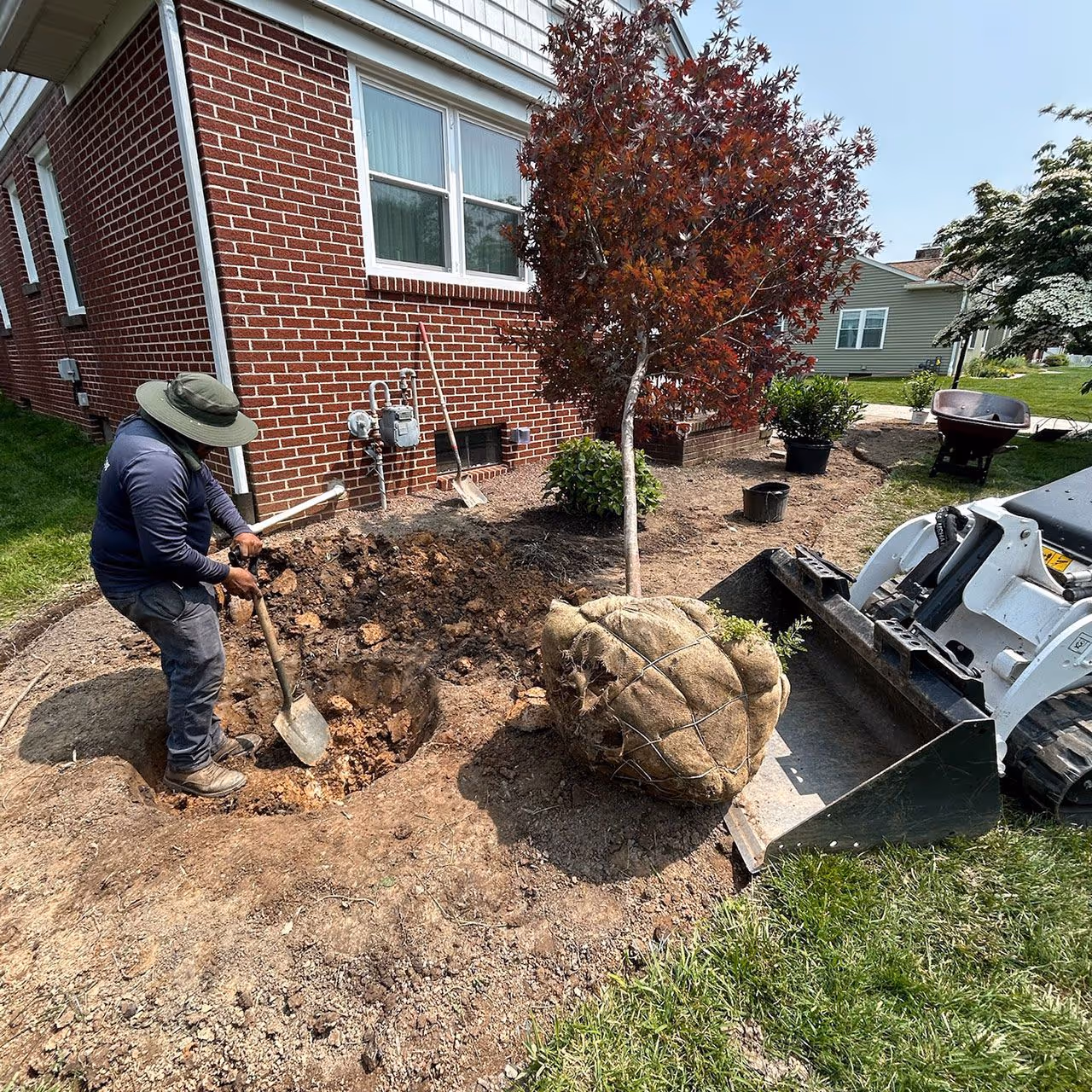 Professional shrub trimming and bed maintenance near me