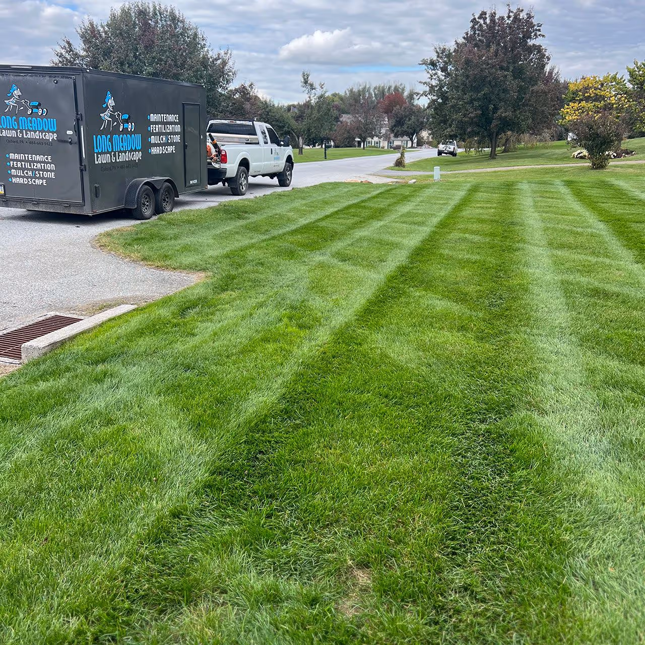Professional yard maintenance near me