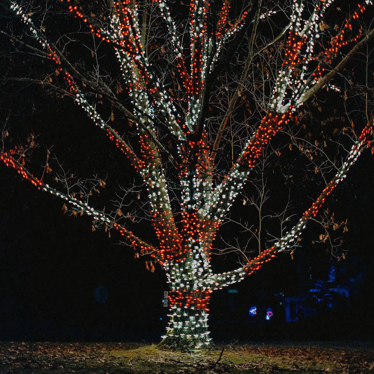 LED landscape lighting near me in Oxford, PA