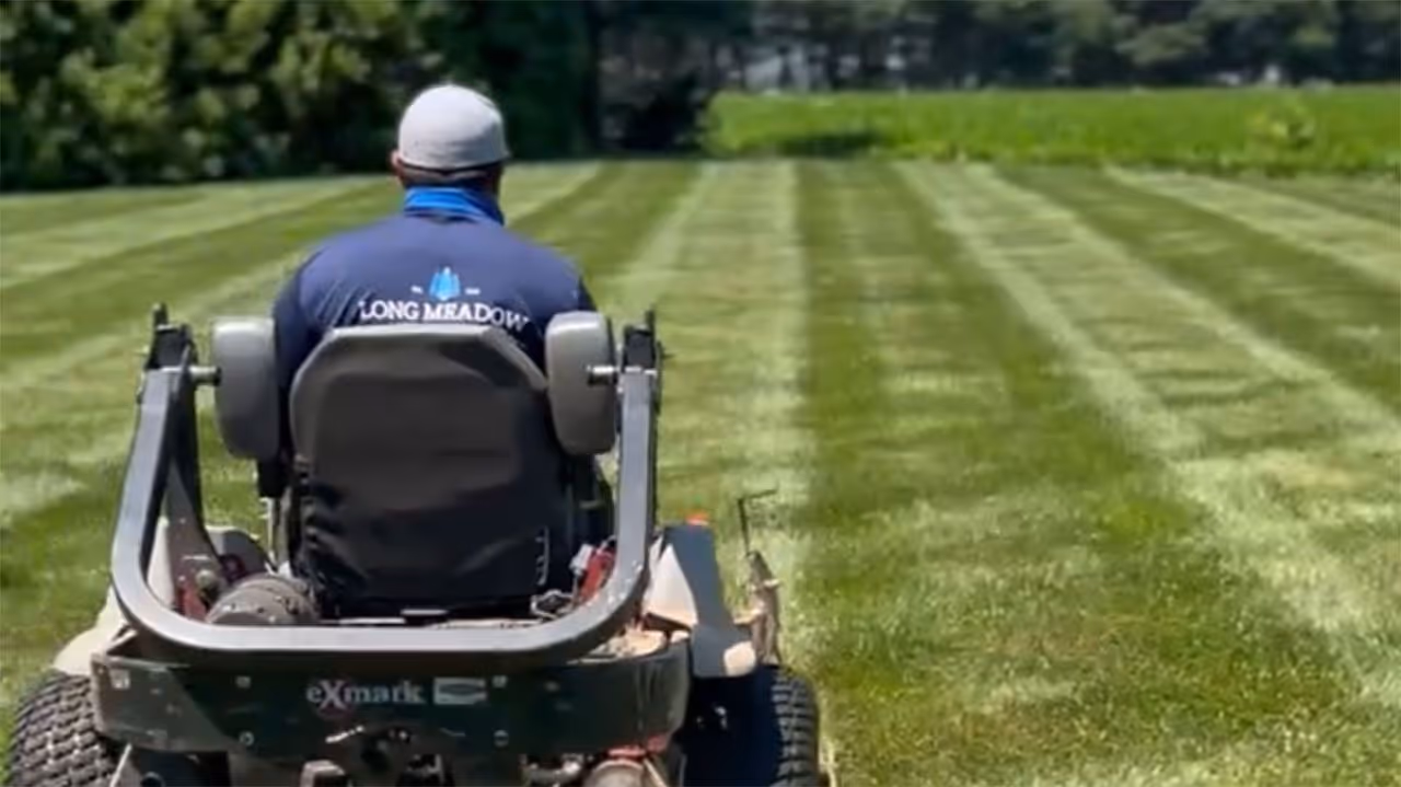 Professional grass cutting and trimming near me
