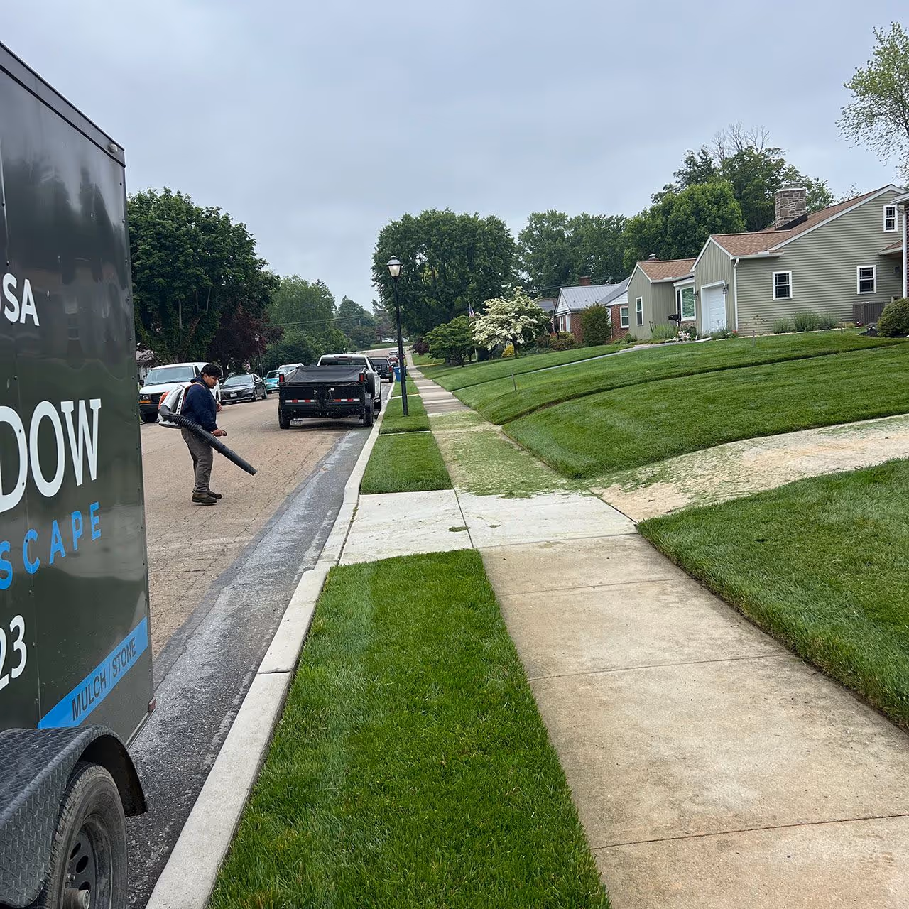 Professional grass cutting and trimming near me