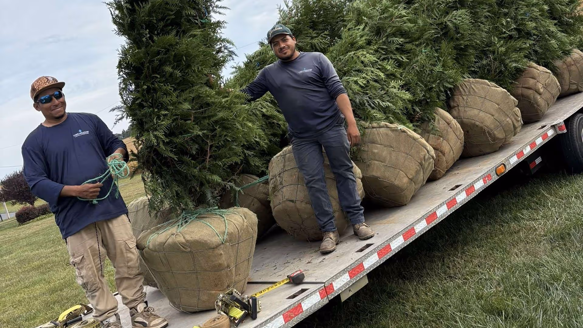 Professional lawn care crew near me