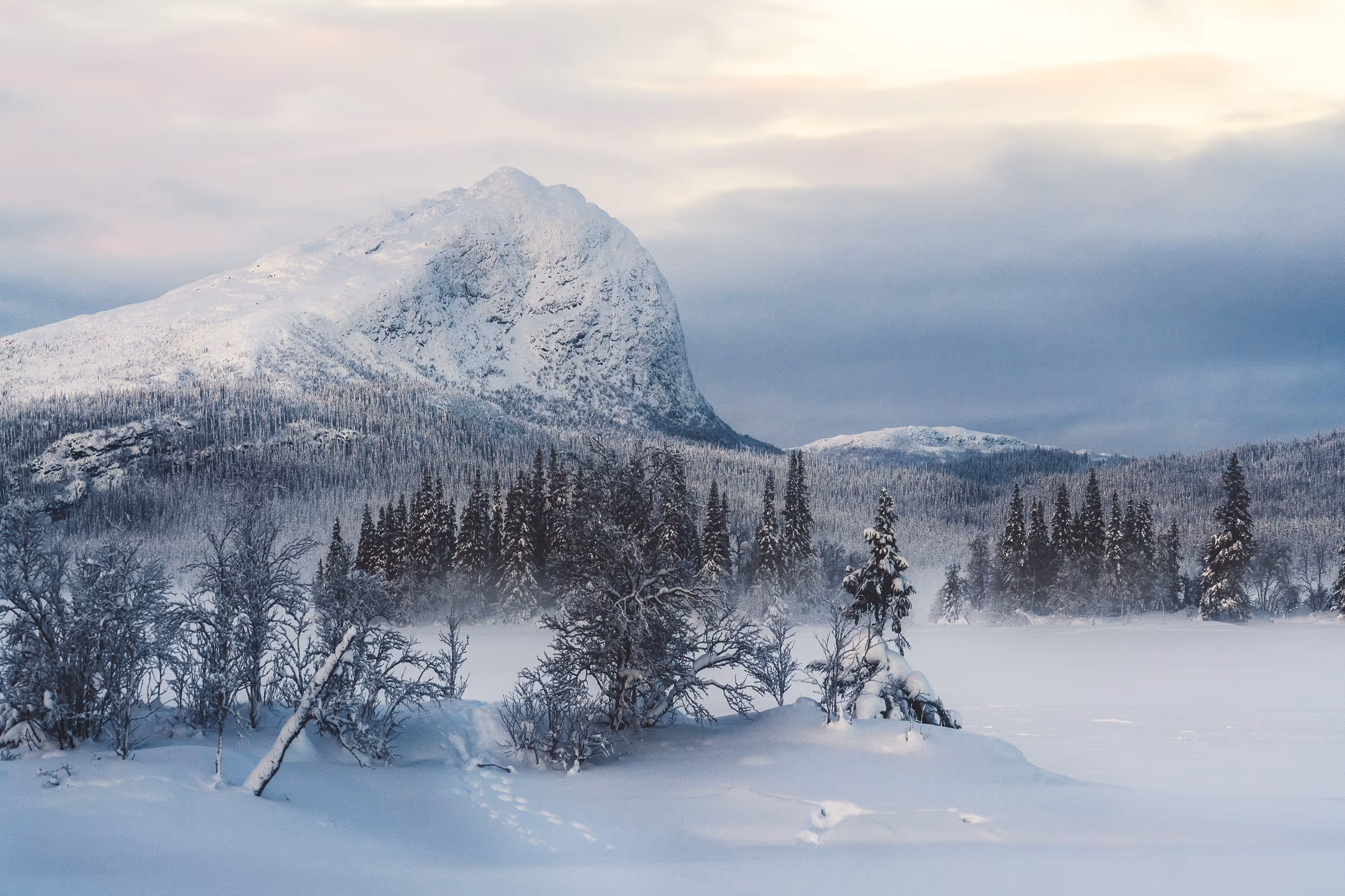 arctic-exploration-nordic-adventure