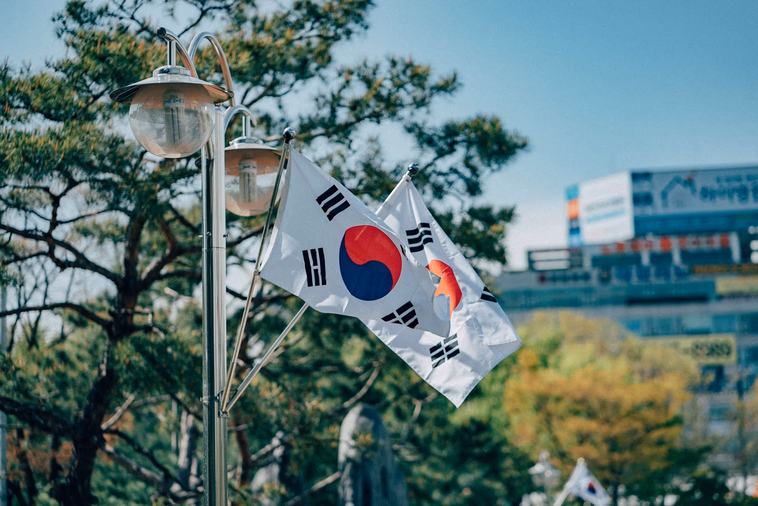 Two South Korean flags flying from a silver lamp post. Trees and a building are visible in the background.