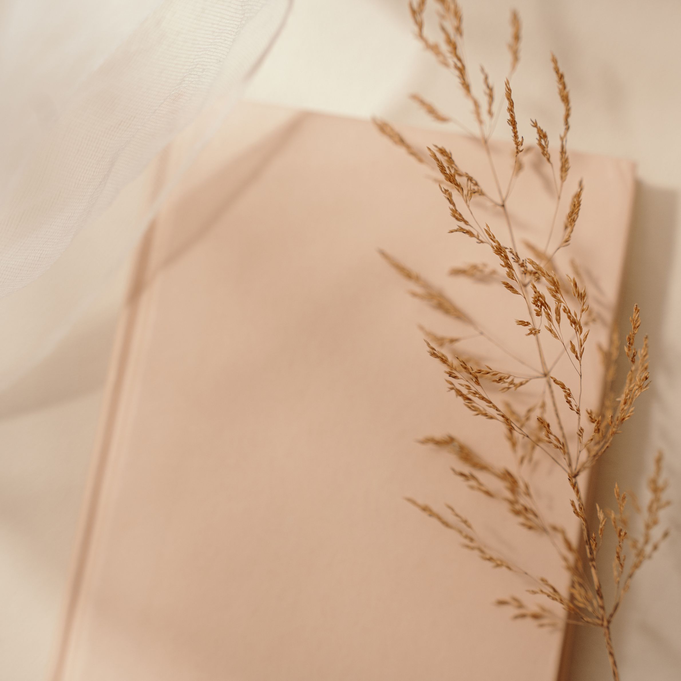 image of the personal coach in a relaxed setting