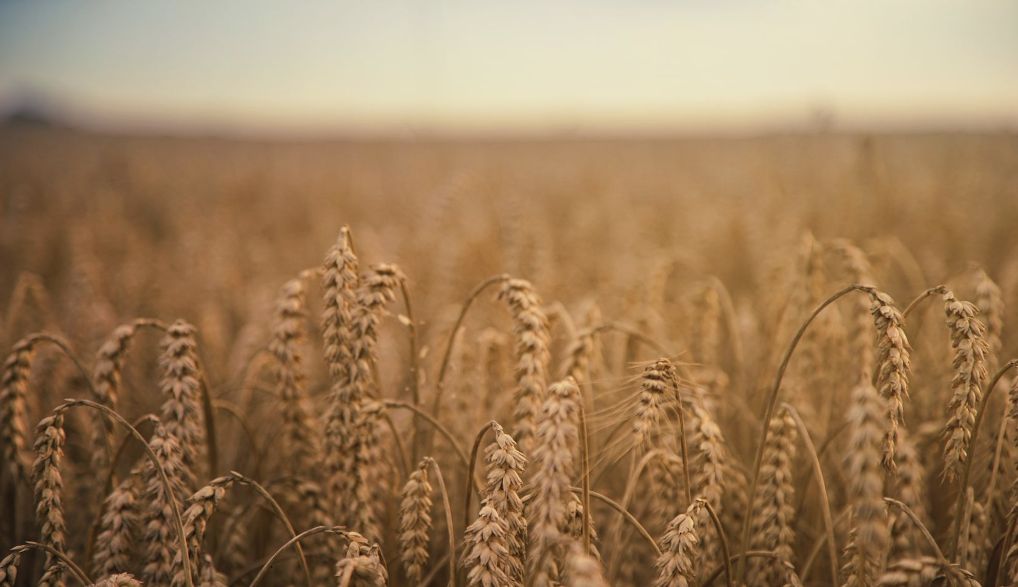 [background image] image of modern library (for a edtech)