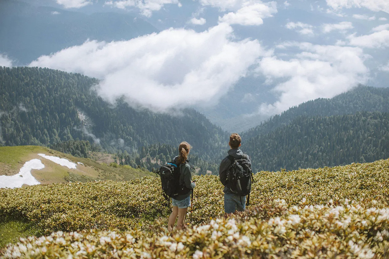 Two hikers with backpacks standing in a flower field overlooking misty forested mountains under clouds.