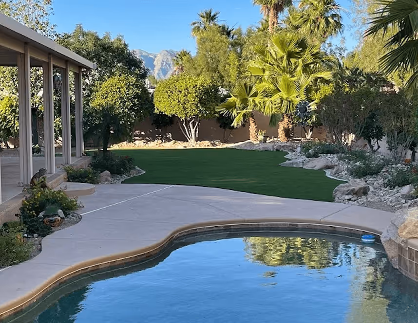 Curved swimming pool next to concrete patio with green lawn and trees in a residential backyard under a clear blue sky.
