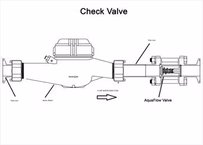 Check Valve Protection
