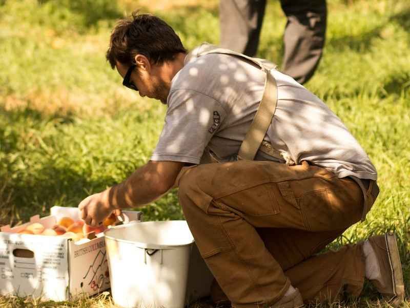 Chef Nate collecting rescued fruit.