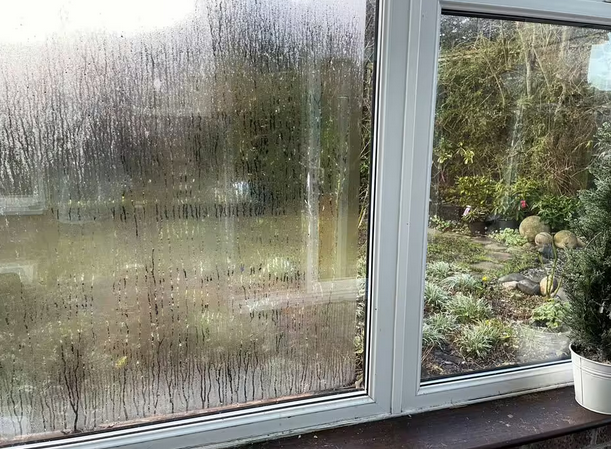 double glazing bay of plenty