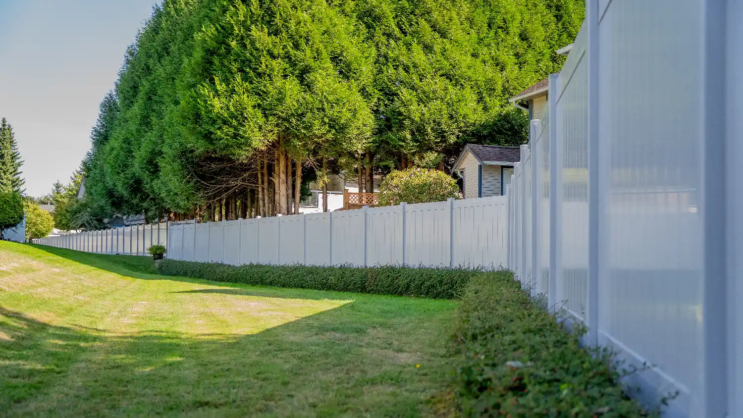 Long white vinyl fence separating a grassy yard from a dense row of tall evergreen trees next to suburban houses.