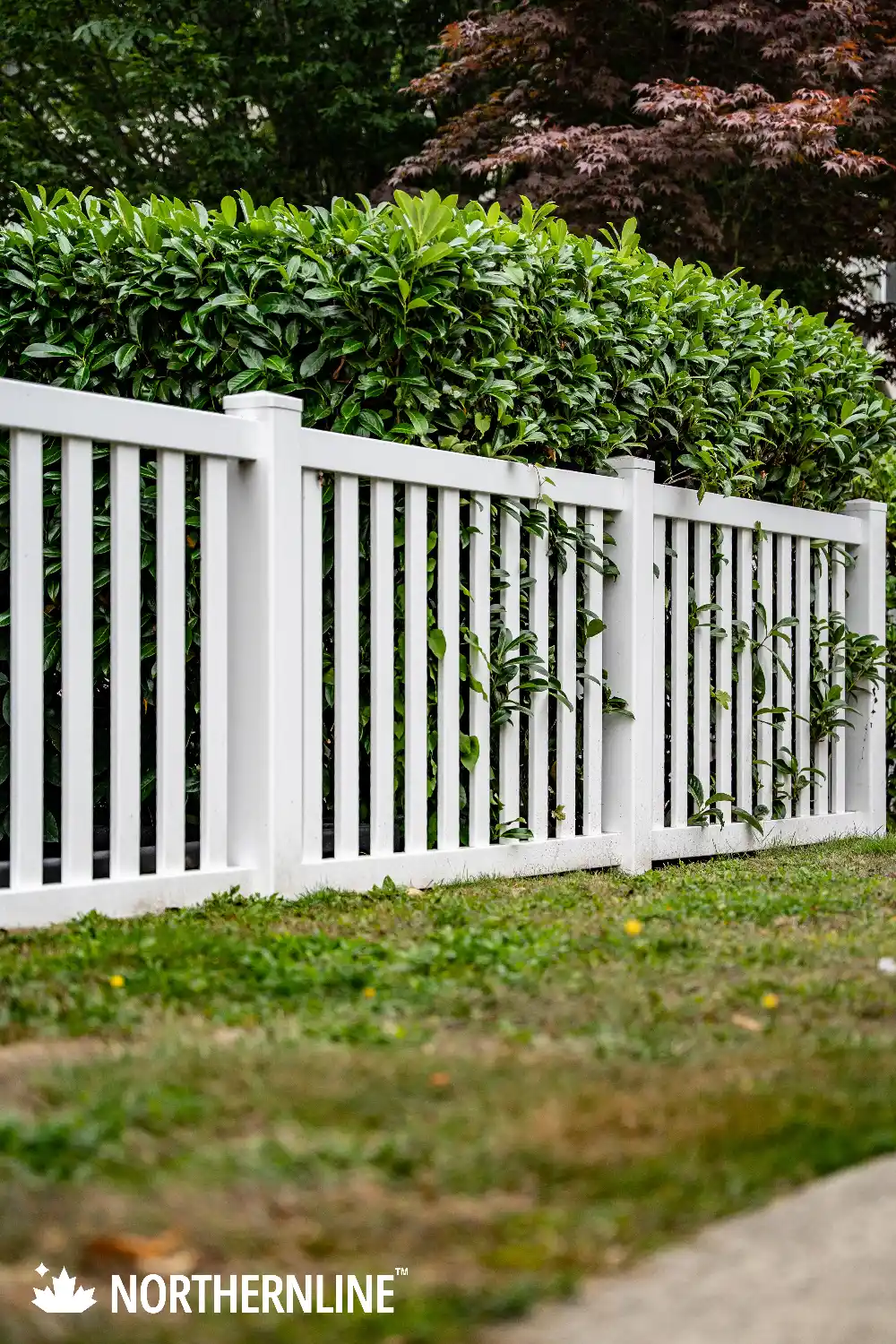 White vinyl fence with vertical slats in front of green bushes and trees.