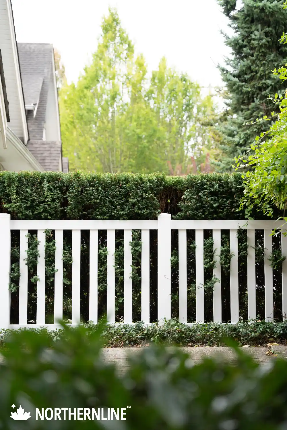 White vinyl vertical slat fence with green bushes growing through it and tall trees in the background near a residential house.