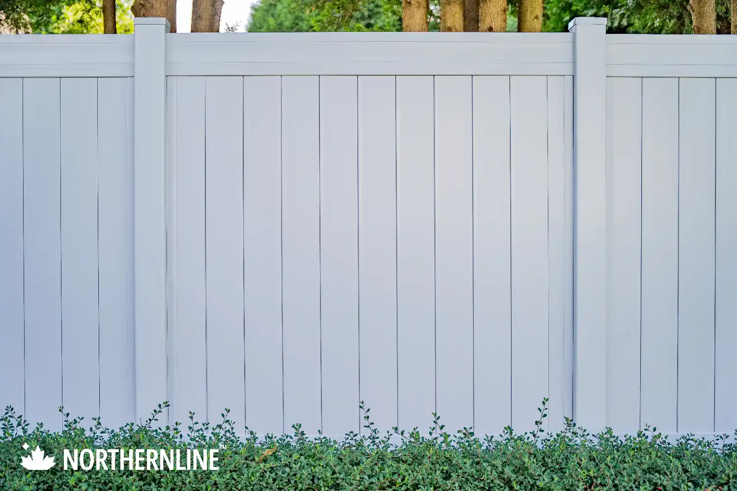 White vinyl vertical panel fence with green shrubbery at the base and trees visible behind.