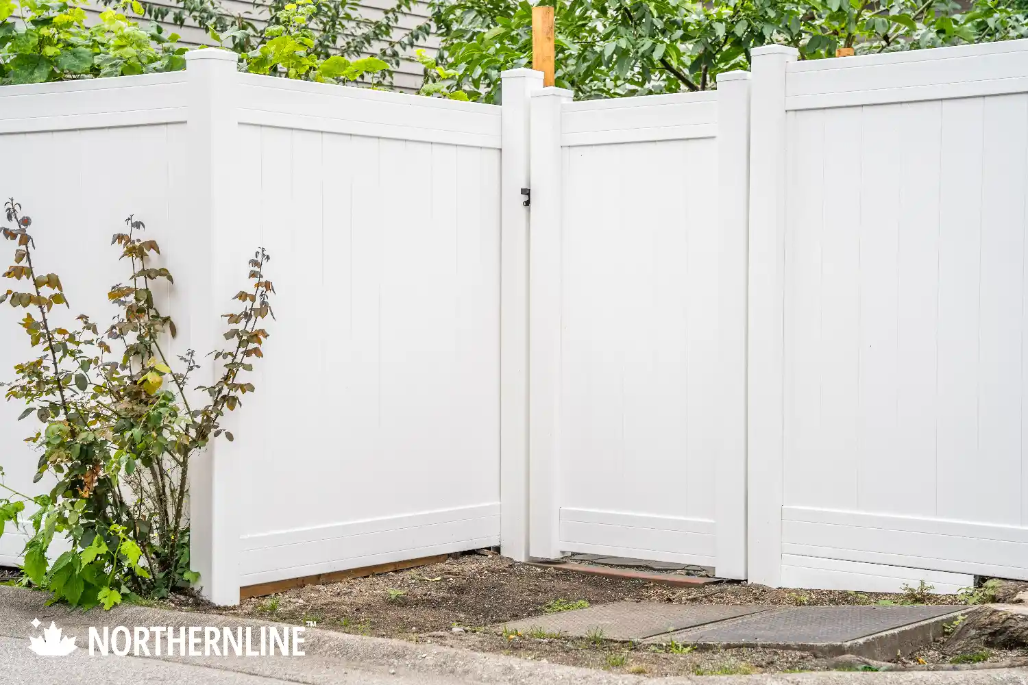 Corner view of a white vinyl privacy fence with a gate and some green foliage behind it.