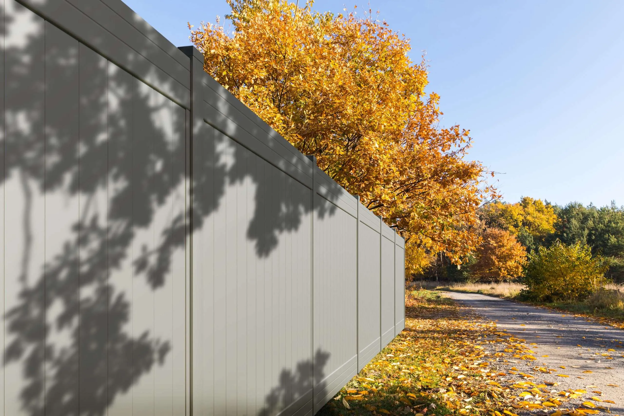 Tall grey vinyl fence casting shadows with a tree with bright yellow-orange autumn leaves behind it and a path covered with fallen leaves.