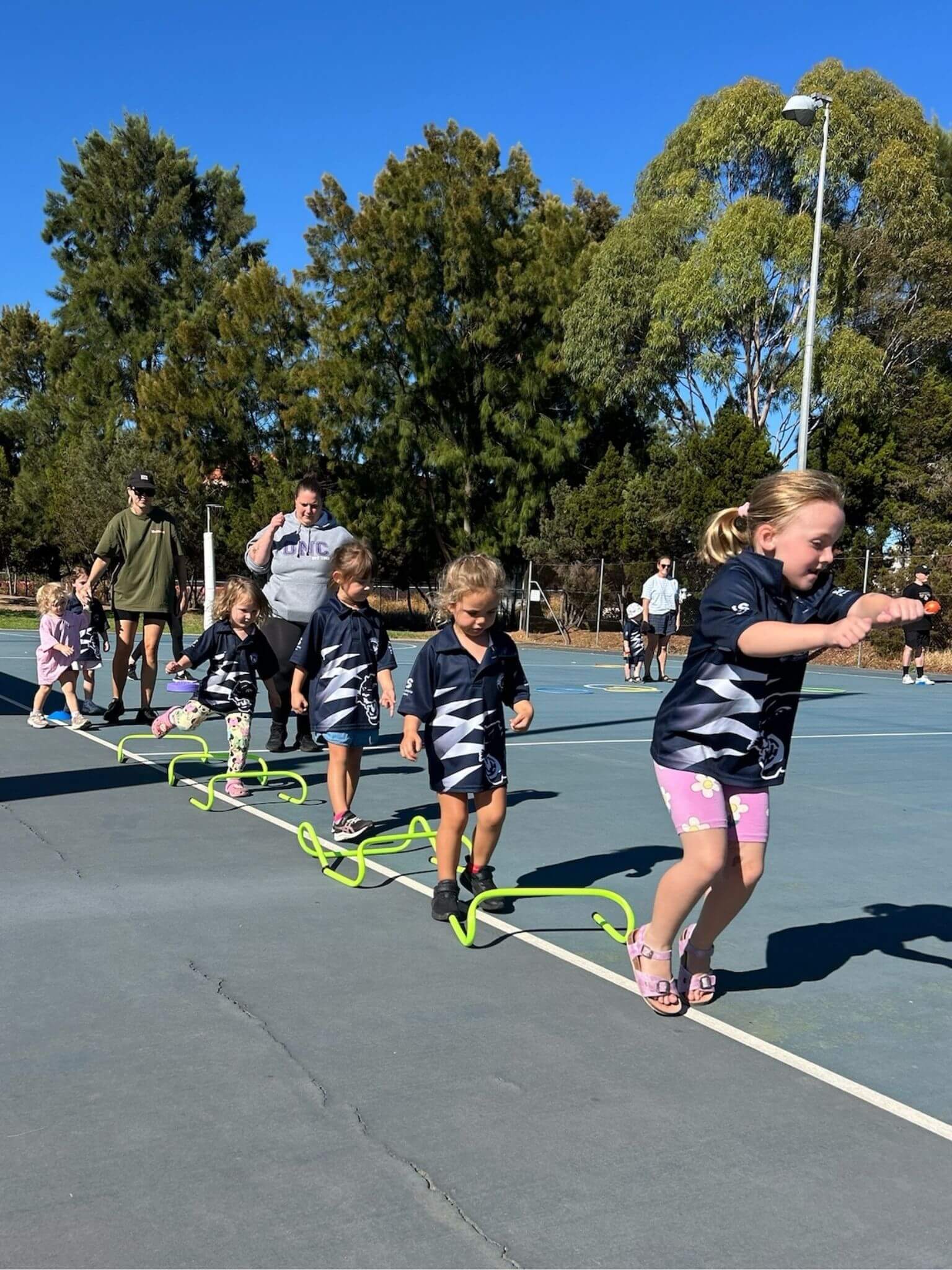 Kindy Cats program