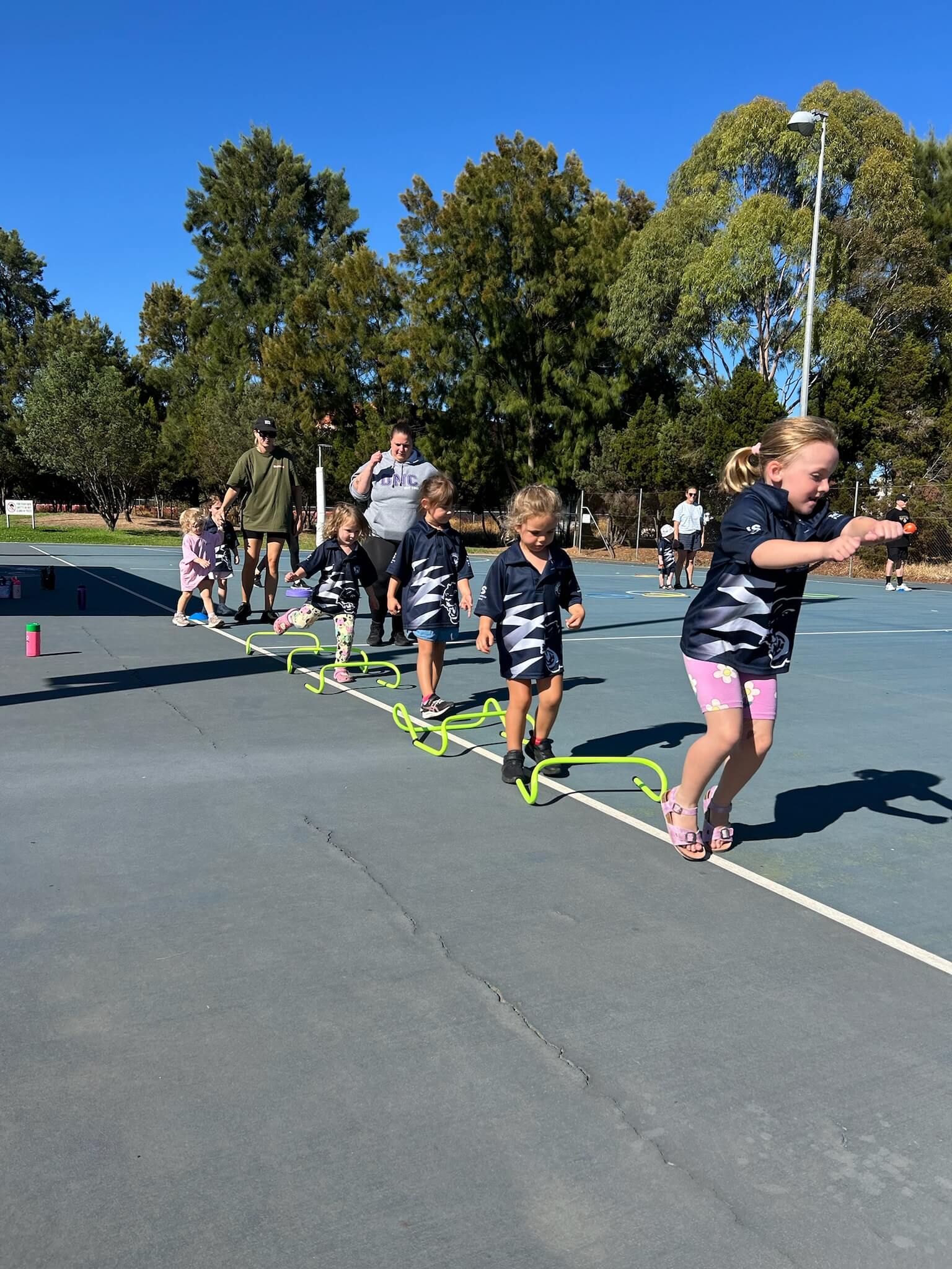 Kindy Cats program