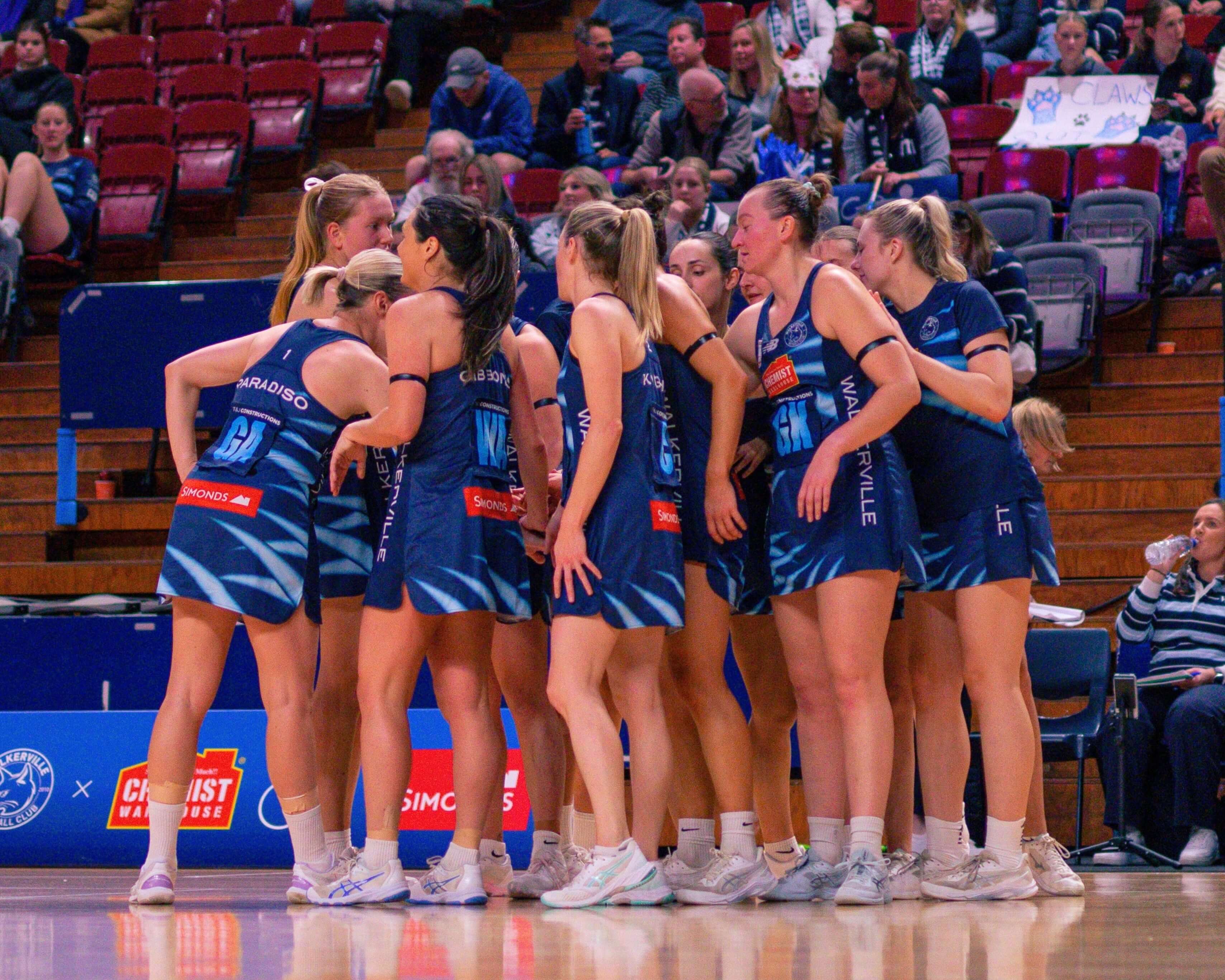 Cats one win from grand final in stunning debut season