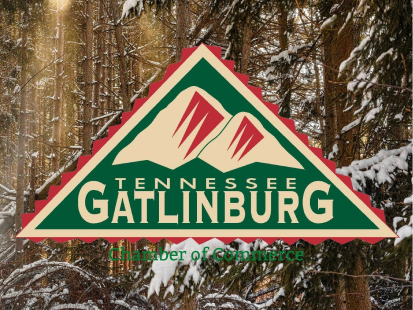 Dev Patel Elected to Gatlinburg Board of Directors