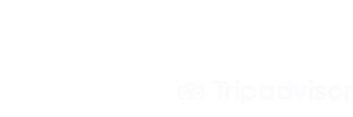 Linked in, Nvidia, tripadvisor, elastic logo