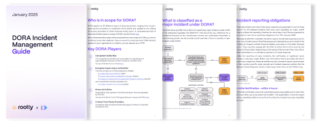 Teaser of the DORA guide contents