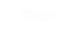 IRIS company logo with a globe made of interconnected dots to the left of the text.