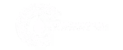 UltrascaleDigitalInfrastructure-logo-white
