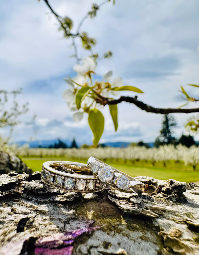 Two diamond wedding rings resting on weathered tree bark with a softly blurred orchard behind