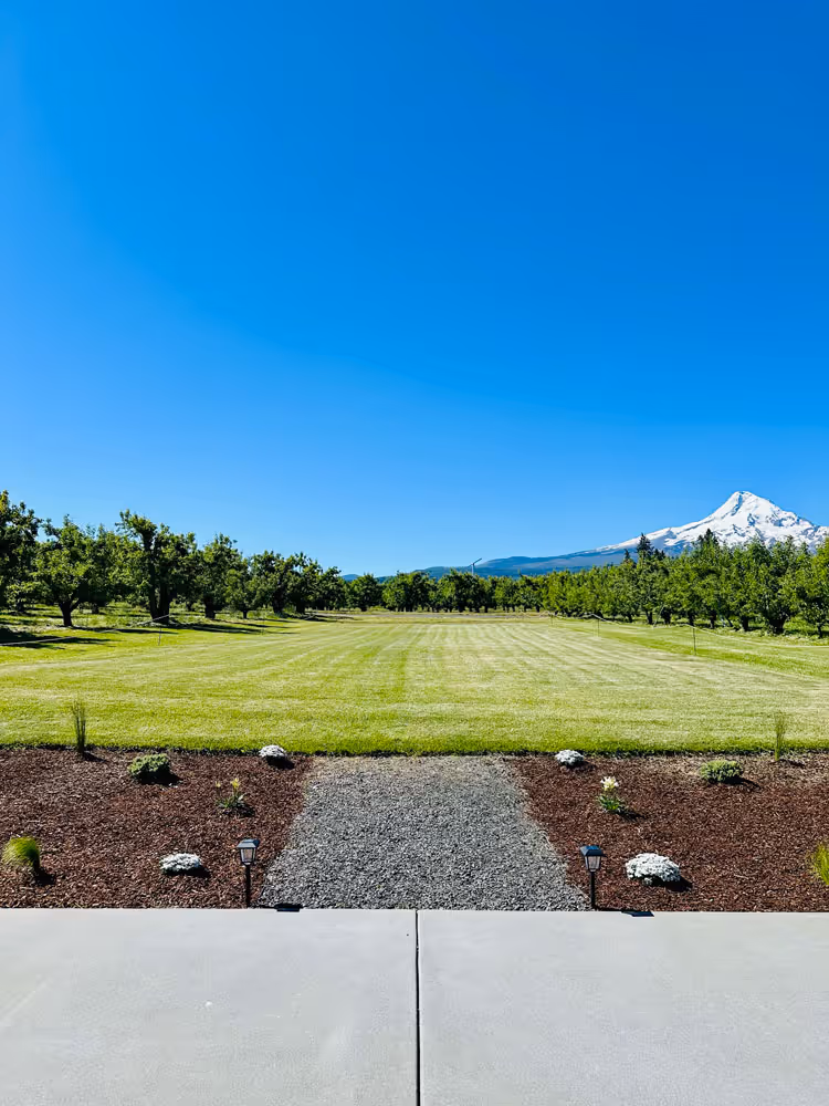 Ceremony lawn framed by pear orchards with a gravel path leading from the pavilion and Mt. Hood in the distance.