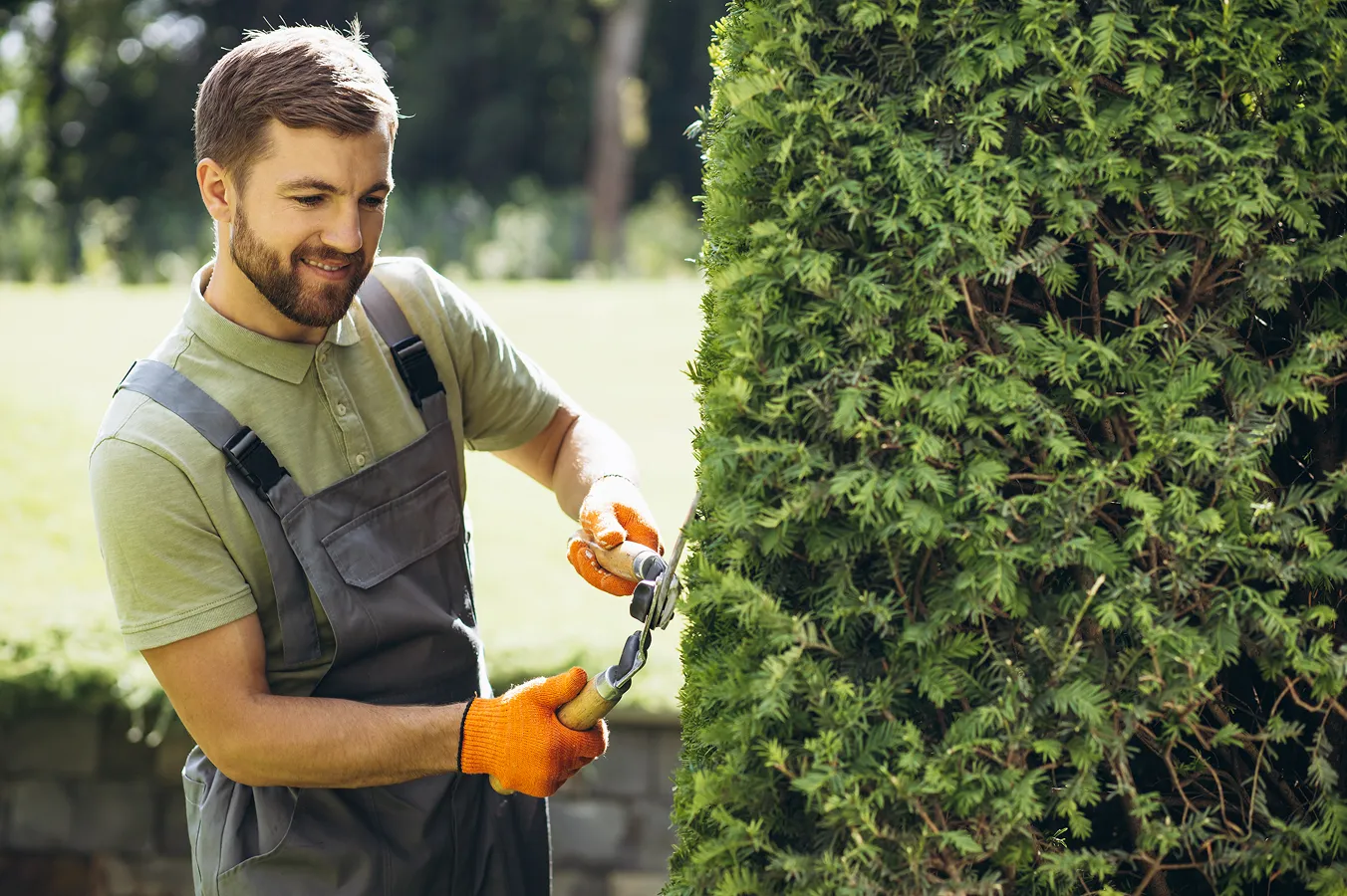 Modern Tools & Techniques