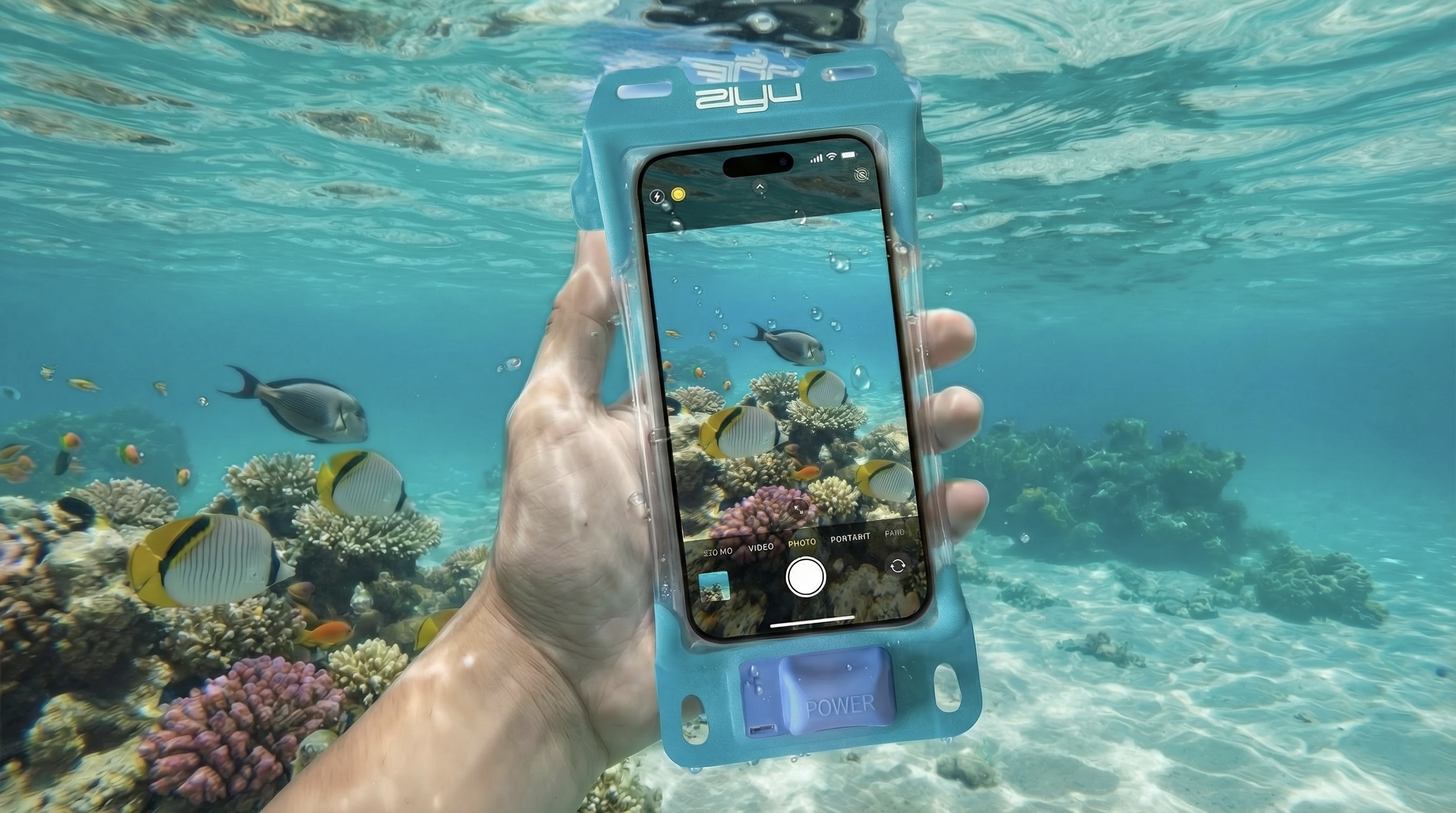 [interface] image of a computer showcasing educational software (for a edtech)