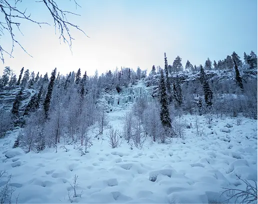 Snow-covered rocky hillside with leafless trees and pine trees under a clear blue sky.