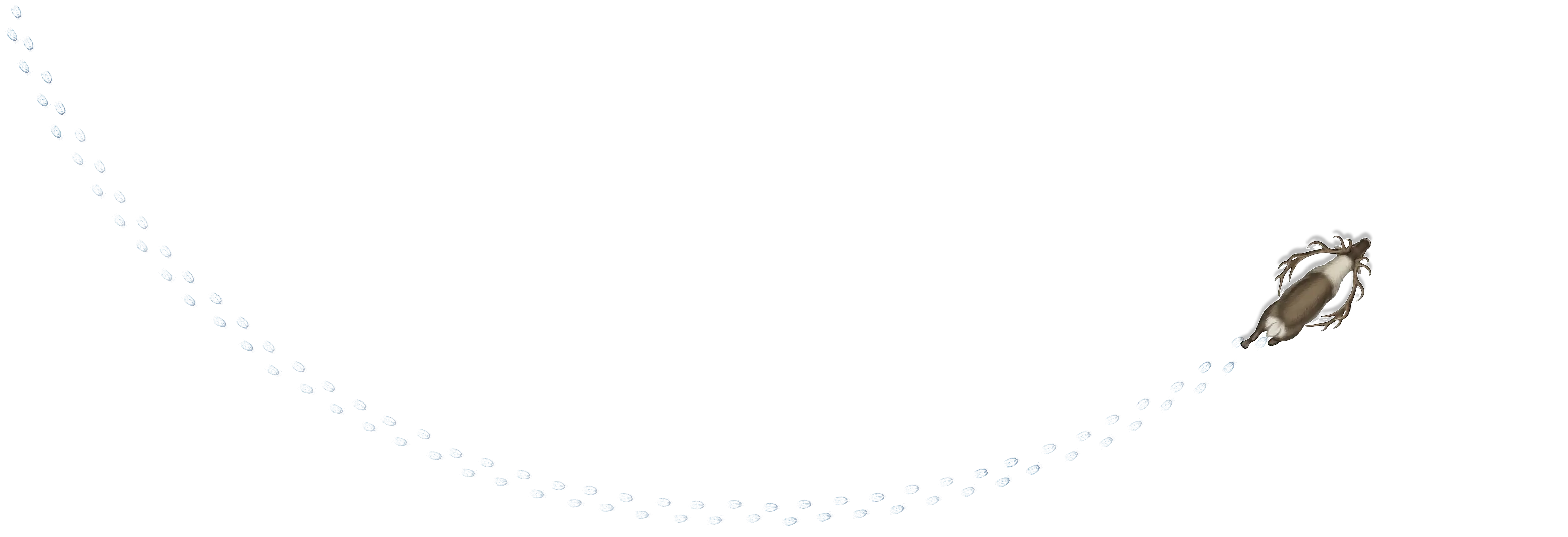 Illustration of a deer walking along a curved path marked by blue footprints on a black background.